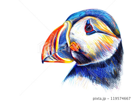A close-up portrait of a puffin, rendered in vibrant, colorful strokes. Perfect for marine-themed projects and designs seeking a unique, eye-catching focal point. Birds. 119574667