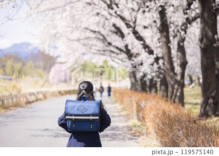 桜並木の中を通学する新中学生後ろ姿 小学校卒業 入学イメージ 桜並木の中を通学する新中学生後ろ姿 小学校卒業 入学イメージ 119575140