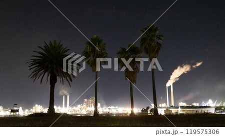 ヤシの木と工場夜景 ヤシの木と工場夜景 119575306