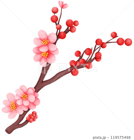 cherry blossom	 119575498