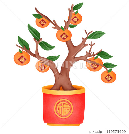 Orange tree for good luck on Chinese New Year 119575499