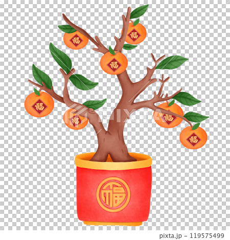 Orange tree for good luck on Chinese New Year 119575499
