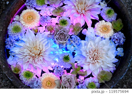 ライトアップされた花手水 119575694