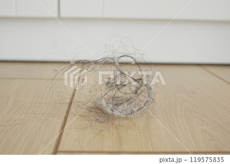 A Dust Bunny Collection resting on a beautifully finished Wooden Flooring surface A Dust Bunny Collection resting on a beautifully finished Wooden Flooring surface 119575835