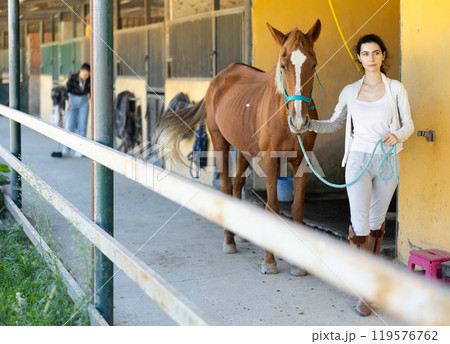 Armenian female worker takes horse out of stall, holds animal by bridle and leads pet for walk Armenian female worker takes horse out of stall, holds animal by bridle and leads pet for walk 119576762