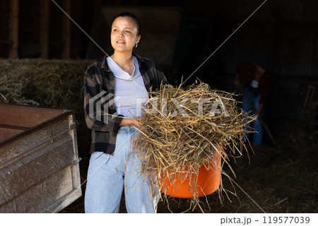 Young woman with bucket of hay in barn 119577039