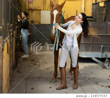 Armenian female worker takes horse out of stall, holds animal by bridle and leads pet for walk 119577157