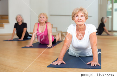 Senior woman doing Urdhva Mukha Shvanasana during group yoga workout Senior woman doing Urdhva Mukha Shvanasana during group yoga workout 119577243