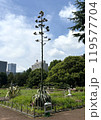 2024年日比谷公園のリュウゼツラン開花 119577704