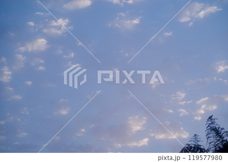 背景素材　青空と朝日を浴びるひつじ雲　前ボケ竹　高積雲　コピースペース 119577980