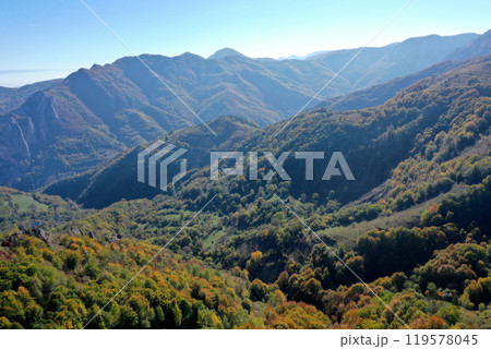 Aerial view of colorful autumn forest covered mountains in the autumn 119578045