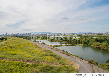 城北ワンド群付近のセイタカアワダチソウ咲く淀川堤防 119578618