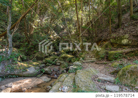 交野の清流 尺治川沿いのハイキングコース 大阪府交野市 交野の清流 尺治川沿いのハイキングコース 大阪府交野市 119578714