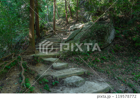 星のブランコへ続くハイキングコース ぼうけんの路 大阪府交野市 星のブランコへ続くハイキングコース ぼうけんの路 大阪府交野市 119578772