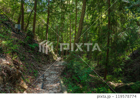 星のブランコへ続くハイキングコース ぼうけんの路 大阪府交野市 星のブランコへ続くハイキングコース ぼうけんの路 大阪府交野市 119578774