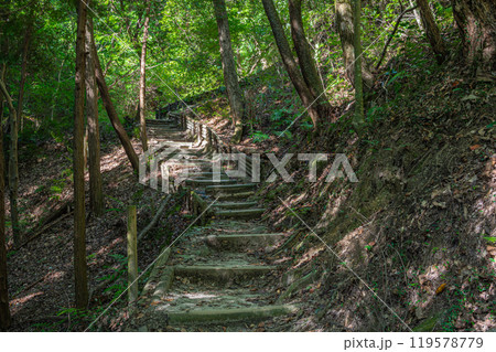 星のブランコへ続くハイキングコース ぼうけんの路 大阪府交野市 星のブランコへ続くハイキングコース ぼうけんの路 大阪府交野市 119578779