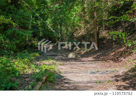 星のブランコへ続くハイキングコース　ぼうけんの路　大阪府交野市 119578782