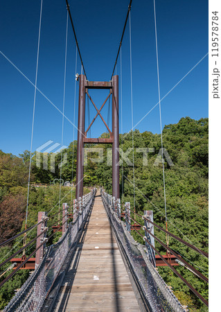 交野市の名所 星のブランコ 吊り橋 大阪府民の森ほしだ園地 交野市の名所 星のブランコ 吊り橋 大阪府民の森ほしだ園地 119578784