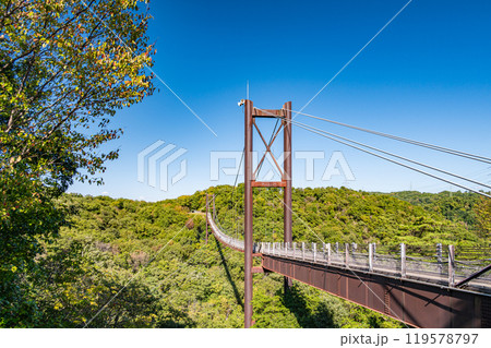 交野市の名所　星のブランコ　吊り橋　大阪府民の森ほしだ園地 119578797