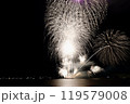 横須賀の花火大会2 119579008