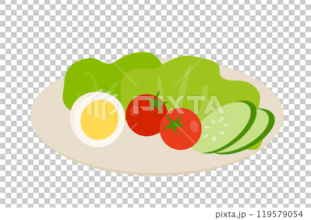 Vector illustration of salad with boiled eggs 119579054