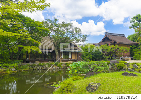 奈良の名勝庭園　依水園　柳生堂と氷心亭を望む 119579814