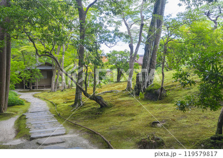 奈良の名勝庭園　依水園　後園 119579817