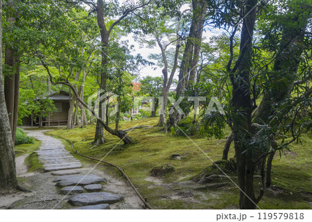 奈良の名勝庭園　依水園　後園 119579818