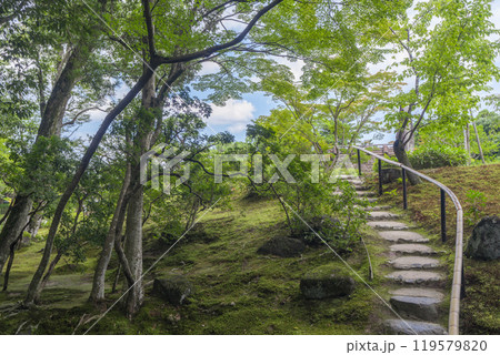 奈良の名勝庭園　依水園　後園 119579820