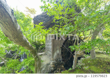 奈良 依水園 後園内にある茅葺屋根の水車小屋 奈良 依水園 後園内にある茅葺屋根の水車小屋 119579823