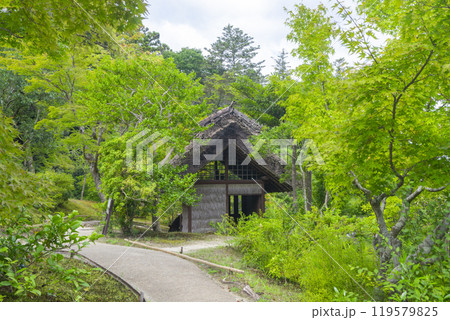 奈良 依水園 後園内にある茅葺屋根の水車小屋 奈良 依水園 後園内にある茅葺屋根の水車小屋 119579825