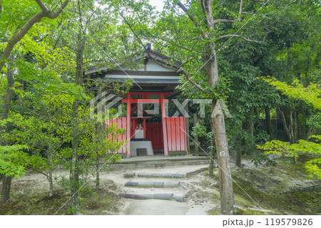 奈良 依水園後園内にある稲荷大明神 奈良 依水園後園内にある稲荷大明神 119579826