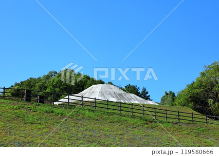 牽牛子塚古墳 (国指定史跡) 119580666