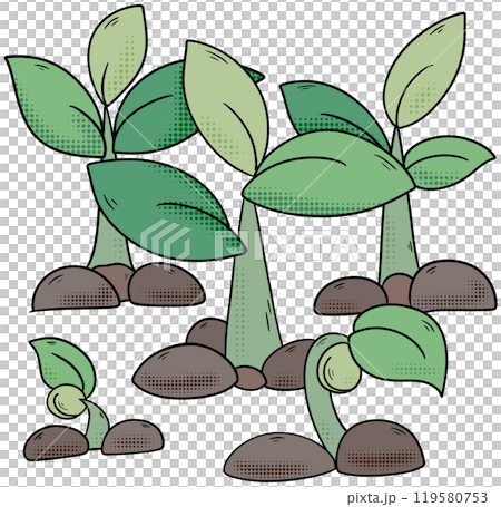 The tree is growing into a sapling. 119580753