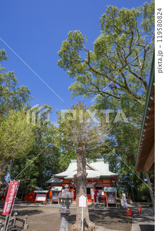 大汝牟遅神社 大汝牟遅神社 119580824