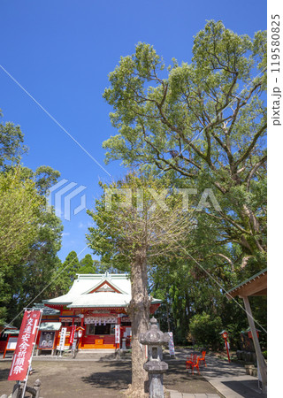 大汝牟遅神社 119580825