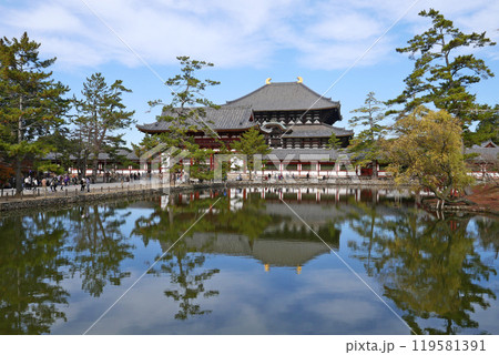 東大寺の鏡池と大仏殿 東大寺の鏡池と大仏殿 119581391