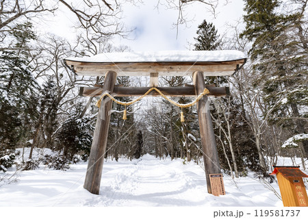 冬の戸隠神社奥社 大鳥居　長野県長野市戸隠 119581737