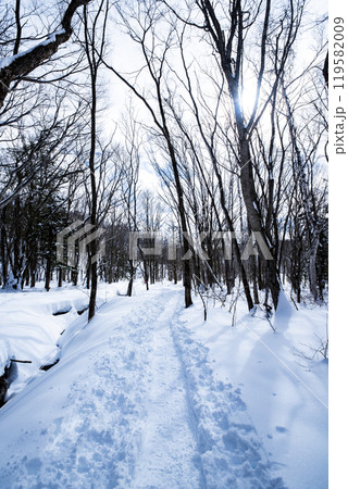 戸隠神社奥社から鏡池へ続く道 長野県長野市戸隠 戸隠神社奥社から鏡池へ続く道 長野県長野市戸隠 119582009