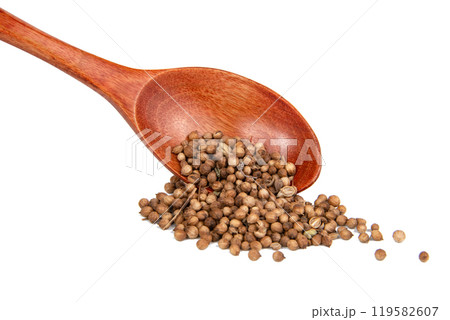 Dried cilantro spices in wooden spoon isolated on the white background 119582607
