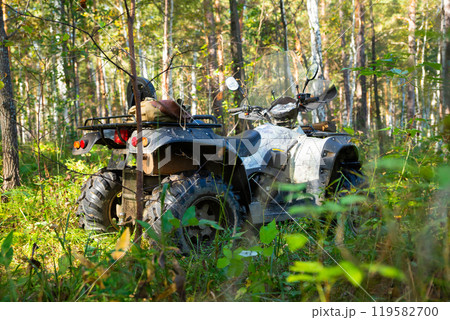 Quad bike or ATV in sunny forest. All Terrain Vehicle of hunter or forester outside Quad bike or ATV in sunny forest. All Terrain Vehicle of hunter or forester outside 119582700