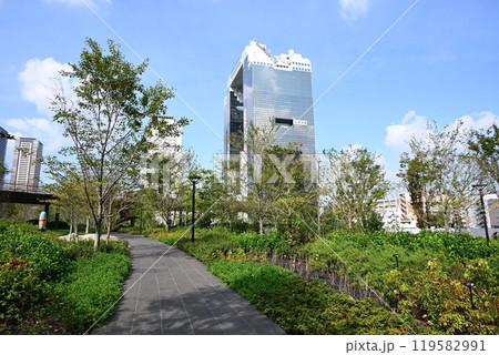 緑とイノベーションの融合拠点 うめ北公園 グラングリーン大阪 緑とイノベーションの融合拠点 うめ北公園 グラングリーン大阪 119582991