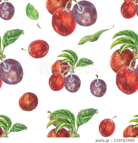 Pattern seamless of plums branches with leaves. Ripe berries on bunches of fruit tree hand drawn in watercolor. Fruits are painted very brightly red, burgundy, purple and green colors. This pattern Pattern seamless of plums branches with leaves. Ripe berries on bunches of fruit tree hand drawn in watercolor. Fruits are painted very brightly red, burgundy, purple and green colors. This pattern 119583489
