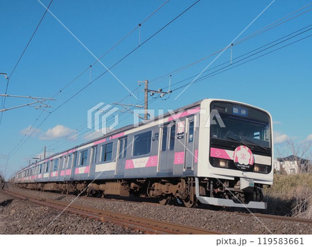 常磐線を走行するE501系 SAKIGAKE 常磐線を走行するE501系 SAKIGAKE 119583661