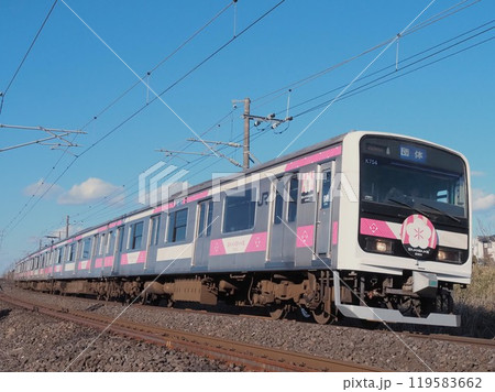 常磐線を走行するE501系 SAKIGAKE 119583662