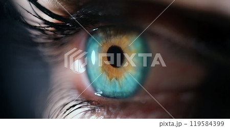 A Captivating CloseUp of an Eye Showcasing a Stunningly Vibrant Blue and Amber Iris 119584399
