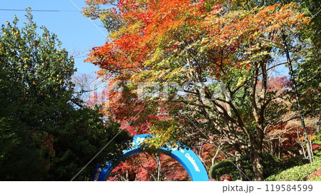 筑波山ケーブルカーのゲートと紅葉 筑波山ケーブルカーのゲートと紅葉 119584599