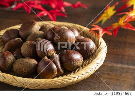 生栗 生栗 119584668