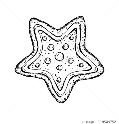 Merry Christmas treat, gingerbread star with icing. New Year vector illustration hand drawn with ink. Symbol of winter mood. New Year sweetness for bakery packaging, printing, gifts and handicrafts. Merry Christmas treat, gingerbread star with icing. New Year vector illustration hand drawn with ink. Symbol of winter mood. New Year sweetness for bakery packaging, printing, gifts and handicrafts. 119584752