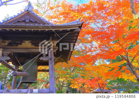 鮮やかな紅葉と輪王寺鐘楼 鮮やかな紅葉と輪王寺鐘楼 119584808